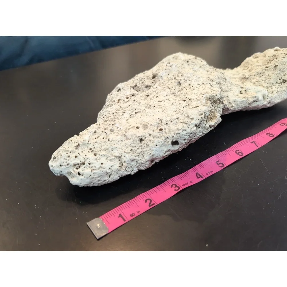 Coral Reef Cluster Specimen - 13